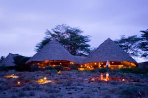 5 Days Masai Mara Amboseli Safari Luxury Tour • Naicef Masai Mara Amboseli Safari, Masai Mara luxury safari packages, Masai Mara luxury safari lodge, 2 Days Amboseli safari, Luxury lodge in Amboseli