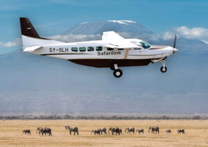 5 Days Masai Mara Amboseli Safari Luxury Tour • Naicef Masai Mara Amboseli Safari, Masai Mara luxury safari packages, Masai Mara luxury safari lodge, 2 Days Amboseli safari, Luxury lodge in Amboseli