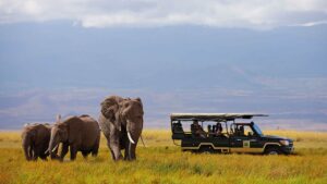5 Days Masai Mara Amboseli Safari Luxury Tour • Naicef Masai Mara Amboseli Safari, Masai Mara luxury safari packages, Masai Mara luxury safari lodge, 2 Days Amboseli safari, Luxury lodge in Amboseli