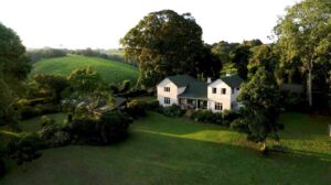 Tea Farm Tours, Kenya tea farm, Tea Farm Tours Nairobi, Tea Farms In Limuru, Tea plantations in Kenya Kericho