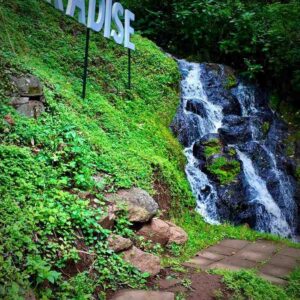 Tea Farm Tours, Kenya tea farm,, Tea Farm Tours Nairobi,, Tea Farms In Limuru, Tea plantations in Kenya Kericho.
