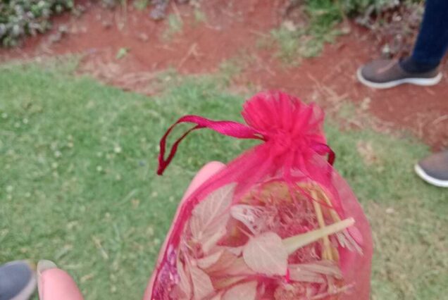 Tea farm tour, Afternoon tea tour, Gathoni Park Farm, Gathoni Park tea tour, Tigoni tea walks and talks