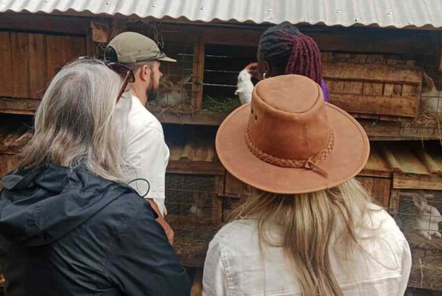 Tea farm tour, Afternoon tea tour,, Gathoni Park Farm, Gathoni Park tea tour, Tigoni tea walks and talks,.,