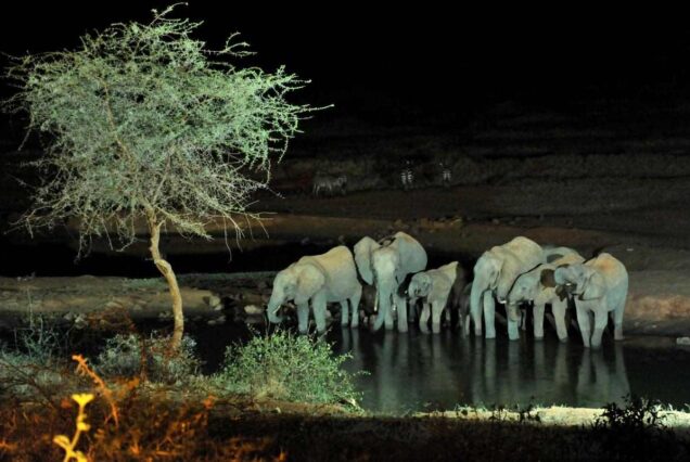 Masai Mara and Lake Nakuru safari,  4 Days Lake Nakuru and Masai Mara Road Safari, Masai Mara Lake Nakuru safari, Masai Mara & Lake Nakuru Luxury Safari,  4 Days Masai Mara Lake Nakuru safari