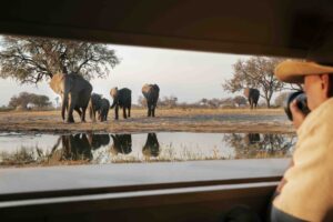 Tips-For-Capturing-Epic-Photos-In-A-Safari-best-camera-for-a-safari-how-to-photograph-wildlife-ethical-safari-photography-best-safari-photography-tip. Serengeti National Park Safari, Tanzania's Serengeti National Park, What is Serengeti National Park famous for, Serengeti National Park History, Serengeti National Park Activities