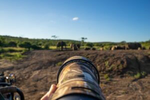 Tips For Capturing Epic Photos In A Safari best camera for a safari how to photograph wildlife ethical safari photography best safari photography tips