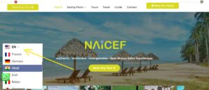 Ai in Tourism,  Ai in Travel and tourism, Examples of ai in tourism,  AI in Wildlife Conservation, Personalized safari itineraries 