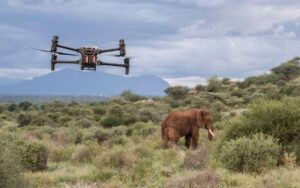 Ai in Tourism,  Ai in Travel and tourism, Examples of ai in tourism,  AI in Wildlife Conservation, Personalized safari itineraries,