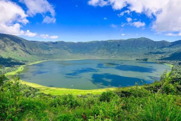 5-day Serengeti Safari itinerary, 5 days Serengeti safari, 5 day Serengeti safari, 5 days Serengeti Migration safari,, 5 days Serengeti Migration safaris. Ngorongoro National Park Tanzania, Ngorongoro National Park, Ngorongoro Conservation Area National Park,  Ngorongoro Crater National Park,, Hotels in Ngorongoro National Park.,Queen Elizabeth National Park in Uganda, Queen Elizabeth National Park Uganda safari, Queen Elizabeth National Park lodges, Queen Elizabeth National Park entrance fees, best time to visit Queen Elizabeth National Park