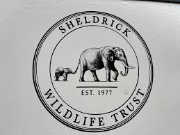 David Sheldrick Wildlife Trust elephant orphanage, David Sheldrick Wildlife Trust, David Sheldrick Visiting hours, David Sheldrick elephant Orphanage entry fee, David Sheldrick Wildlife location