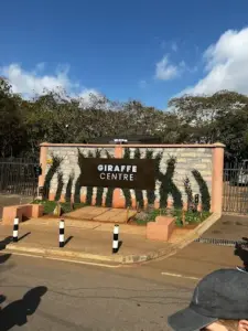 Giraffe centre Nairobi, Giraffe centre Duma road Nairobi, Giraffe centre Nairobi entrance fee, Giraffe centre location, Restaurants near Giraffe centre