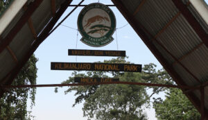 Hiking Mount Kilimanjaro, Climb Mount Kilimanjaro, Hiking Mount Kilimanjaro Tours, Mount Kilimanjaro tour, Mount Kilimanjaro Lemosho route 8 days