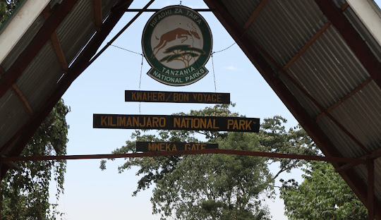 Hiking Mount Kilimanjaro, Climb Mount Kilimanjaro, Hiking Mount Kilimanjaro Tours, Mount Kilimanjaro tour, Mount Kilimanjaro Lemosho route 8 days