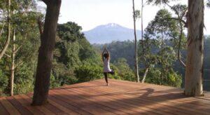 Mount Kilimanjaro National Park, Mount Kilimanjaro National Park Tanzania, Where is Mount Kilimanjaro,, Mount Kilimanjaro height,, Mount Kilimanjaro National Park Activities.