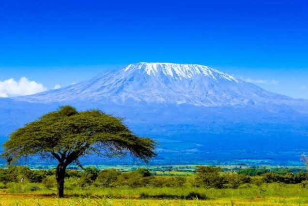 Mount Kilimanjaro National Park, Mount Kilimanjaro National Park Tanzania, Where is Mount Kilimanjaro, Mount Kilimanjaro height, Mount Kilimanjaro National Park Activities. Hiking Mount Kilimanjaro, Climb Mount Kilimanjaro, Hiking Mount Kilimanjaro Tours, Mount Kilimanjaro tour, Mount Kilimanjaro Lemosho route 8 days. Kilimanjaro climb Rongai Route, Mount Kilimanjaro Rongai Route, Kilimanjaro Rongai Route, Rongai Route Kilimanjaro, Rongai Route 7 days