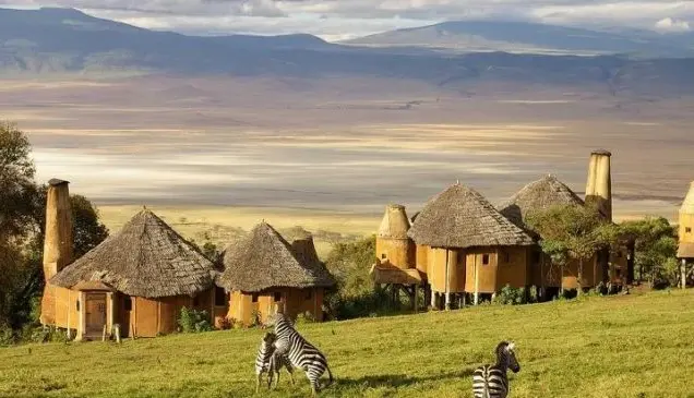 Ngorongoro National Park Tanzania, Ngorongoro National Park, Ngorongoro Conservation Area National Park,  Ngorongoro Crater National Park, Hotels in Ngorongoro National Park. 3 Day Safari Serengeti Ngorongoro, Safari Serengeti Ngorongoro, 3 Days Serengeti and Ngorongoro, 3 Day luxury safari Serengeti Ngorongoro, 3 Days Ngorongoro Safari