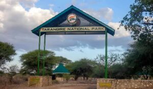 Tarangire National Park Tanzania,  National park Tarangire, Where is Tarangire National Park, Things to do in Tarangire National Park, Tarangire National Park Accommodation