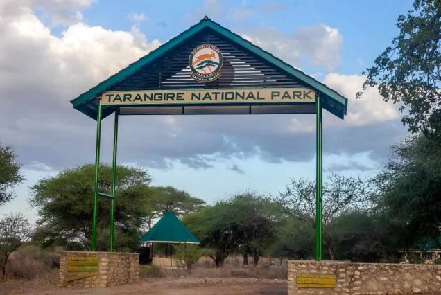 Tarangire National Park Tanzania,  National park Tarangire, Where is Tarangire National Park, Things to do in Tarangire National Park, Tarangire National Park Accommodation. Northern Circuit Safari Tanzania, 4 Days Safari Tanzania, Northern Circuit Tanzania Safari, Tanzania Northern Circuit Itinerary, Arusha National Park Tour