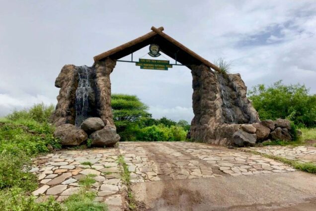 Tarangire National Park Tour, Tarangire National Park Tours, Lake Manyara tour, Lake Manyara National Park Tours, Tarangire to Lake Manyara. 6 Days Tanzania Safari Private Tour, Luxury 6 days safari Tanzania, Exclusive 6 days Tanzania camping safari, Private 6 days Tanzania Northern circuit safari, luxury 5 nights 6 days Tanzania Northern circuit safari