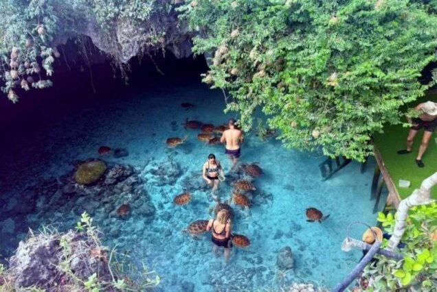 Zanzibar 3 Day Package, 3 Days in Zanzibar, Zanzibar 3 Day Itinerary, Zanzibar Itinerary 3 Days, What to do in Zanzibar for 3 Days. Tanzania Nungwi Beach, Nungwi Beach Zanzibar, Nungwi Beach hotels, Where is Nungwi Beach located, Nungwi Beach activities. Luxury guide to Amboni Caves Tanzania, Exclusive guide to Amboni Caves Tanga Tanzania, Private guide to Amboni Caves History, Luxury guide to Amboni Tanzania, Exclusive guide to Caves in Tanzania
