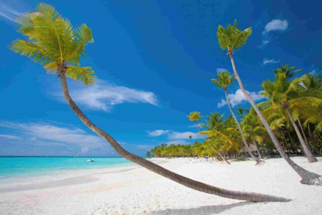 Zanzibar Archipelago Tanzania, Attractions in Zanzibar,  Best things to do in Zanzibar, Best beaches in Zanzibar, Best Resorts in Zanzibar Tanzania. Zanzibar 3 Day Package, 3 Days in Zanzibar, Zanzibar 3 Day Itinerary, Zanzibar Itinerary 3 Days, What to do in Zanzibar for 3 Days. 5 Days Zanzibar Itinerary, 5 Days Zanzibar Tour, Zanzibar Safari Tour, Stone town walking tour Zanzibar, Spice Tour Zanzibar. Stone Town Zanzibar Tanzania, Zanzibar Stone Town, Stone Town Zanzibar hotels, Best Things to do in Stone Town Zanzibar, Beaches near Stone Town Zanzibar,. Tanzania Nungwi Beach, Nungwi Beach Zanzibar, Nungwi Beach hotels, Where is Nungwi Beach located, Nungwi Beach activities