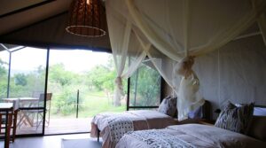 Akagera National Park, Akagera National Park Rwanda, Akagera National Park Safari, Lodges in Akagera National Park, Location of Akagera National Park