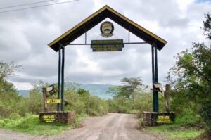 Arusha National Park Tanzania, Tanzania Arusha National Park, Arusha Tanzania things to do,, Arusha National Park Lodges, How big is Arusha National Park.