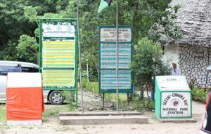 Jozani Chwaka Bay National Park Zanzibar, Jozani Chwaka Bay National Park, Jozani Chwaka Bay National Park only national park in Zanzibar,, Jozani Chwaka Bay forest, Jozani Chwaka Bay National Park photos