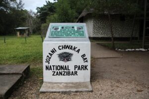 Jozani Chwaka Bay National Park Zanzibar, Jozani Chwaka Bay National Park, Jozani Chwaka Bay National Park only national park in Zanzibar,, Jozani Chwaka Bay forest, Jozani Chwaka Bay National Park photos