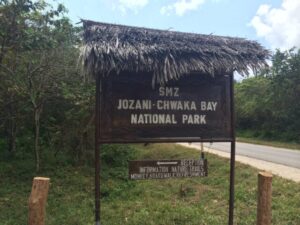 Jozani Chwaka Bay National Park Zanzibar, Jozani Chwaka Bay National Park, Jozani Chwaka Bay National Park only national park in Zanzibar,, Jozani Chwaka Bay forest, Jozani Chwaka Bay National Park photos