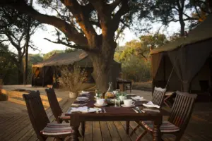 Katavi National Park Tanzania, Tanzania Katavi National Park, Katavi National Park lodges, Katavi National Park Location, Katavi National Park Accommodation