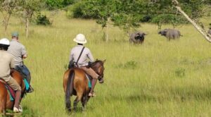 Lake Mburo National Park Uganda, Lake Mburo National Park entrance fee, Lodges in Lake Mburo National Park, Kampala to Lake Mburo National Park, Lake Mburo National Park Uganda safari