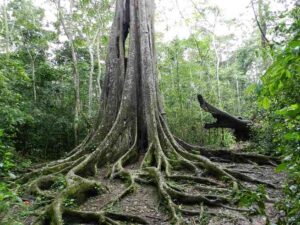 Lake Mburo National Park Uganda, Lake Mburo National Park entrance fee, Lodges in Lake Mburo National Park, Kampala to Lake Mburo National Park, Lake Mburo National Park Uganda safari