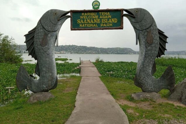 Lake Victoria Mwanza, Lake Victoria Tours, Lake Victoria tourist attractions, Lake Victoria activities, Hotels in Lake Victoria Mwanza. 5 Days Private Lake Victoria Tour Tanzania, Luxury Lake Victoria Tanzania Safari, Mwanza Lake Victoria Exclusive Tour, Private Victoria Lake Tanzania Safari, Lake Victoria Africa Private Tour