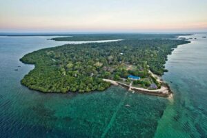 Mafia Island Zanzibar, Mafia Island hotels, How to get to Mafia Island, Mafia Island beaches, Mafia Island Things To Do