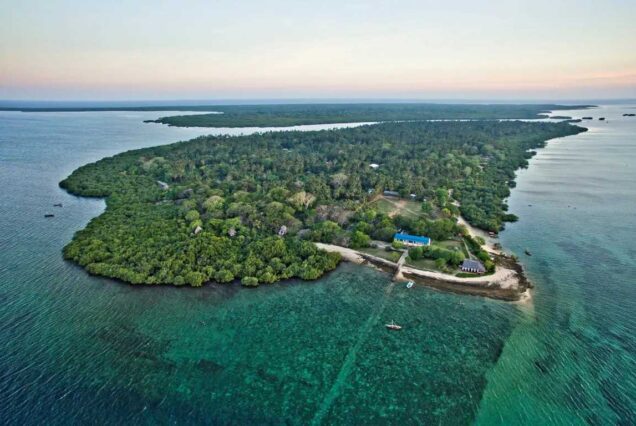 Mafia Island Zanzibar, Mafia Island hotels, How to get to Mafia Island, Mafia Island beaches, Mafia Island Things To Do. 3-Day Mafia Island Tanzania Luxury Tour, Mafia Island Africa Exclusive Tour, Private Mafia Island diving, Luxury Mafia Island Tours, Exclusive Mafia Island whale shark tours