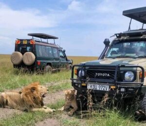 4 days Masai mara Amboseli wildlife safari 4 days safari itinerary 4 days safari 2 days masai mara safari 1 day Amboseli safari Naicef Lion Wildlife Safari in Kenya. Private 6 Day Safari Tanzania To Dar/Nyerere/& Udzungwa, Exclusive 6 Days Safari Tanzania, Luxurious 6 Days Tanzania safari itinerary, 6 Days Tanzania lodge safari luxury tour, private 6 day Tanzania safari. Luxury 8 Days Tanzania Safari Exclusive Tour, Best Private Tanzania Southern Circuit Safari, Exclusive 8 day safari Tanzania, Tanzania 8-day safari private tour, Private 8 days Tanzania safari itinerary. 5 Days Tanzania Safari Luxury Tour, Private 4 Nights 5 Days Tanzania Northern Circuit Safari, Exclusive 5 Day African Safari Tanzania, Private 5 Days safari in Tanzania, Exclusive Olduvai Gorge tours. Exclusive Guide To Ol Pejeta Conservancy, Private Guide to Ol Pejeta Conservancy Kenya, Kenya’s Ol Pejeta Conservancy Luxury Guide, Safari guide to Ol Pejeta Conservancy in Kenya, Ol Pejeta Conservancy Nanyuki Kenya Tour Guide