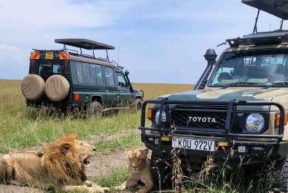 4 days Masai mara Amboseli wildlife safari 4 days safari itinerary 4 days safari 2 days masai mara safari 1 day Amboseli safari Naicef Lion Wildlife Safari in Kenya. Private 6 Day Safari Tanzania To Dar/Nyerere/& Udzungwa, Exclusive 6 Days Safari Tanzania, Luxurious 6 Days Tanzania safari itinerary, 6 Days Tanzania lodge safari luxury tour, private 6 day Tanzania safari. Luxury 8 Days Tanzania Safari Exclusive Tour, Best Private Tanzania Southern Circuit Safari, Exclusive 8 day safari Tanzania, Tanzania 8-day safari private tour, Private 8 days Tanzania safari itinerary. 5 Days Tanzania Safari Luxury Tour, Private 4 Nights 5 Days Tanzania Northern Circuit Safari, Exclusive 5 Day African Safari Tanzania, Private 5 Days safari in Tanzania, Exclusive Olduvai Gorge tours