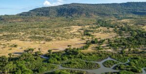 Nyerere National Park Tanzania, Nyerere National Park Selous Game Reserve, Where is Nyerere National Park located, Things To do in Nyerere National Park, Nyerere National Park lodges