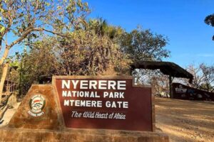 Nyerere National Park Tanzania, Nyerere National Park Selous Game Reserve, Where is Nyerere National Park located, Things To do in Nyerere National Park, Nyerere National Park lodges