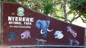 Nyerere National Park Tanzania, Nyerere National Park Selous Game Reserve, Where is Nyerere National Park located, Things To do in Nyerere National Park, Nyerere National Park lodges