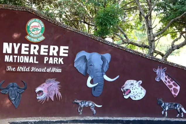 Nyerere National Park Tanzania, Nyerere National Park Selous Game Reserve, Where is Nyerere National Park located, Things To do in Nyerere National Park, Nyerere National Park lodges. Private 6 Day Safari Tanzania To Dar/Nyerere/& Udzungwa, Exclusive 6 Days Safari Tanzania, Luxurious 6 Days Tanzania safari itinerary, 6 Days Tanzania lodge safari luxury tour, private 6 day Tanzania safari