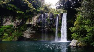 Nyungwe Forest National Park, Nyungwe Forest National Park Rwanda, Nyungwe Forest National Park location, Nyungwe Forest National Park entrance fees, Nyungwe Forest National Park hotels