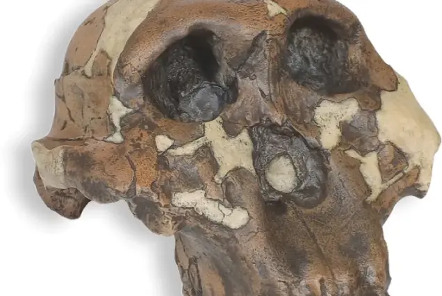 Olduvai Gorge Monument & Museum, Olduvai Gorge Museum, Olduvai Gorge History, What is Olduvai Gorge famous for, Where is Olduvai Gorge located. 5 Days Tanzania Safari Luxury Tour, Private 4 Nights 5 Days Tanzania Northern Circuit Safari, Exclusive 5 Day African Safari Tanzania, Private 5 Days safari in Tanzania, Exclusive Olduvai Gorge tours