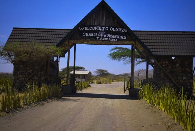 Olduvai Gorge Monument & Museum, Olduvai Gorge Museum, Olduvai Gorge History, What is Olduvai Gorge famous for, Where is Olduvai Gorge located. 5 Days Tanzania Safari Luxury Tour, Private 4 Nights 5 Days Tanzania Northern Circuit Safari, Exclusive 5 Day African Safari Tanzania, Private 5 Days safari in Tanzania, Exclusive Olduvai Gorge tours