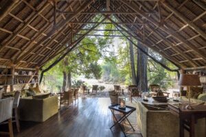 Ruaha National Park Tanzania, Ruaha National Park Iringa Tanzania, Ruaha National Park Location, Ruaha National Park established, Ruaha National Park Lodges.