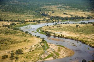 Ruaha National Park Tanzania, Ruaha National Park Iringa Tanzania, Ruaha National Park Location, Ruaha National Park established, Ruaha National Park Lodges