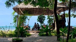 3-Day Mafia Island Tanzania Luxury Tour, Mafia Island Africa Exclusive Tour, Private Mafia Island diving, Luxury Mafia Island Tours, Exclusive Mafia Island whale shark tours. 5-day Coastal Travel Tanzania luxury package, private 5 Day Tanzania Safari itinerary, exclusive Tanzania Tour Package, luxury Dar es Salaam City tour itinerary, exclusive Songo Songo Island tour
