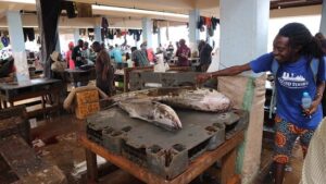 3-Day Mafia Island Tanzania Luxury Tour, Mafia Island Africa Exclusive Tour, Private Mafia Island diving, Luxury Mafia Island Tours, Exclusive Mafia Island whale shark tours