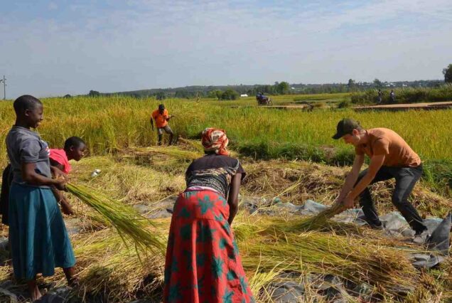 5 Days Private Lake Victoria Tour Tanzania, Luxury Lake Victoria Tanzania Safari, Mwanza Lake Victoria Exclusive Tour, Private Victoria Lake Tanzania Safari, Lake Victoria Africa Private Tour